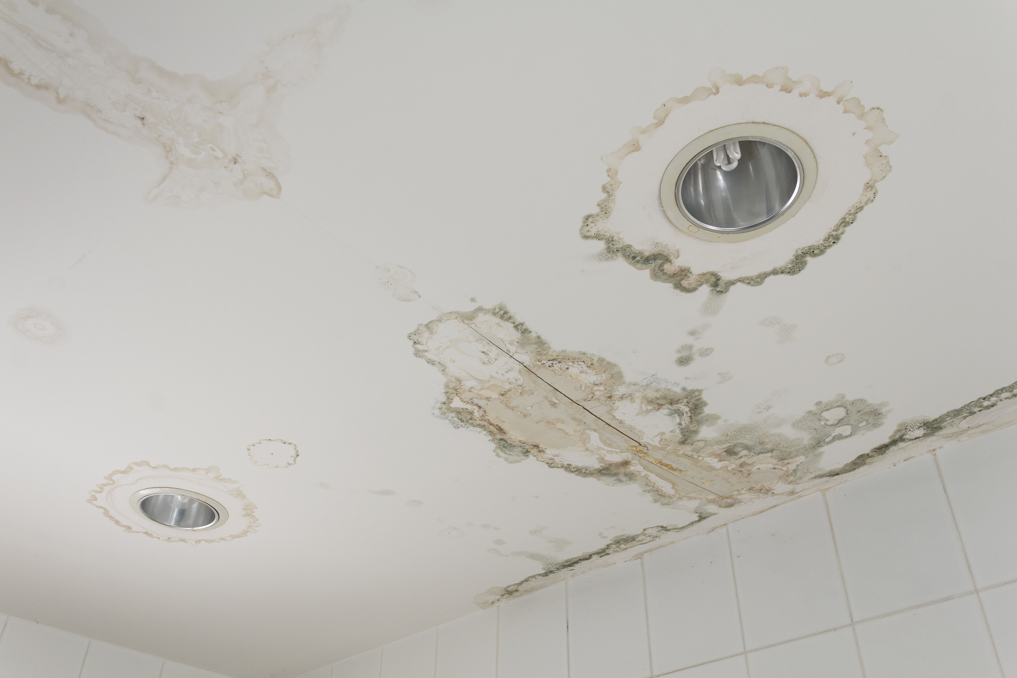 Fixing Water Damage in Hotels the Right Way